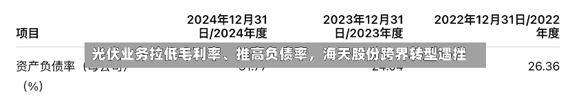 光伏业务拉低毛利率	、推高负债率	，海天股份跨界转型遇挫-第2张图片