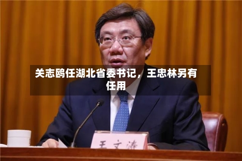 关志鸥任湖北省委书记，王忠林另有任用-第2张图片