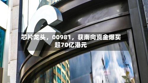 芯片龙头，00981，获南向资金爆买超70亿港元-第3张图片
