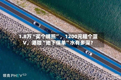 1.8万“买个牌照	”，1200元租个蓝V	，港险“地下保单”水有多深？-第3张图片