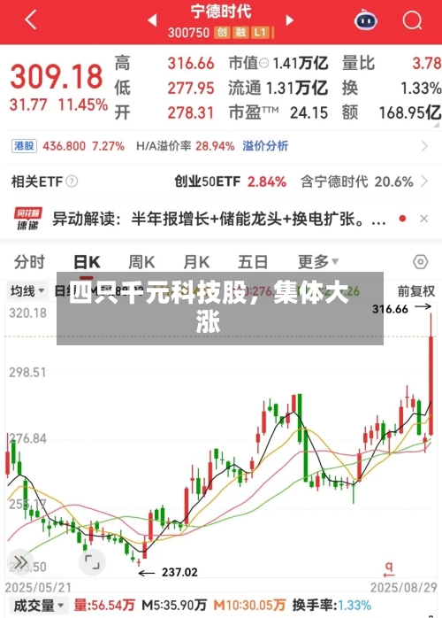 四只千元科技股	，集体大涨-第3张图片