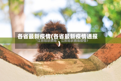 各省最新疫情(各省最新疫情通报)