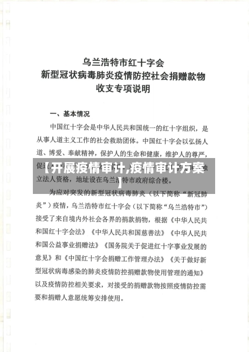 【开展疫情审计,疫情审计方案】