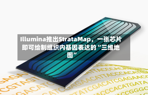 Illumina推出StrataMap	，一张芯片即可绘制组织内基因表达的“三维地图”-第3张图片