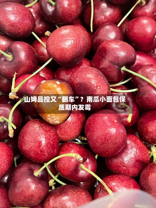 山姆品控又“翻车”？南瓜小面包保质期内发霉-第3张图片