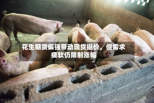 花生期货偏强带动现货挺价，但需求疲软仍限制涨幅-第2张图片
