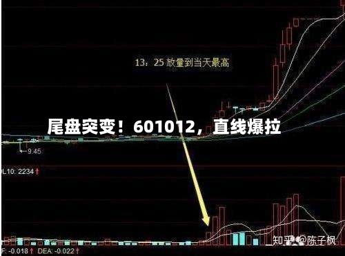尾盘突变！601012，直线爆拉-第3张图片