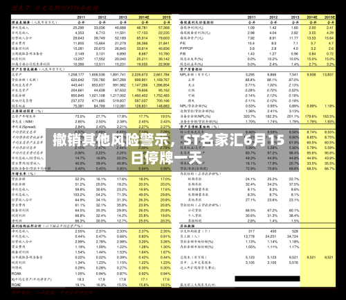 撤销其他风险警示，ST名家汇6月15日停牌一天-第3张图片
