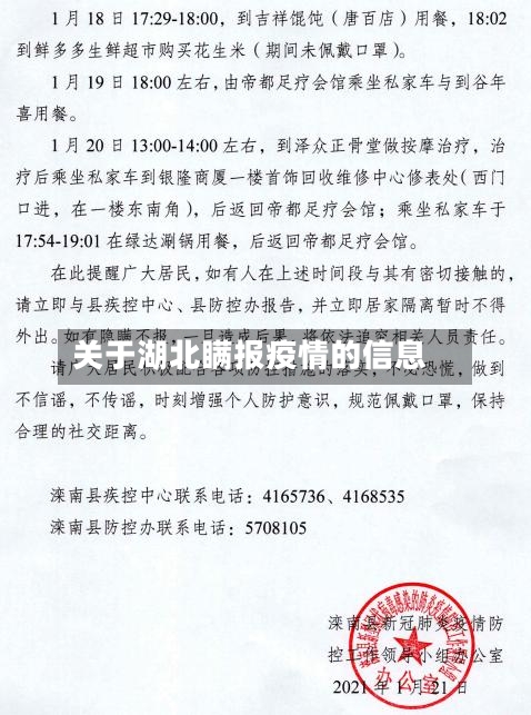 关于湖北瞒报疫情的信息-第2张图片