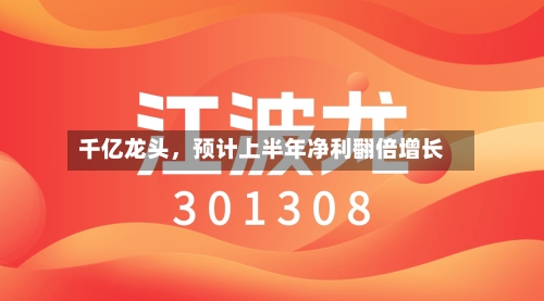 千亿龙头，预计上半年净利翻倍增长-第2张图片