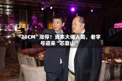 “20CM”涨停！资本大佬入局，老字号迎来“芯靠山”-第2张图片