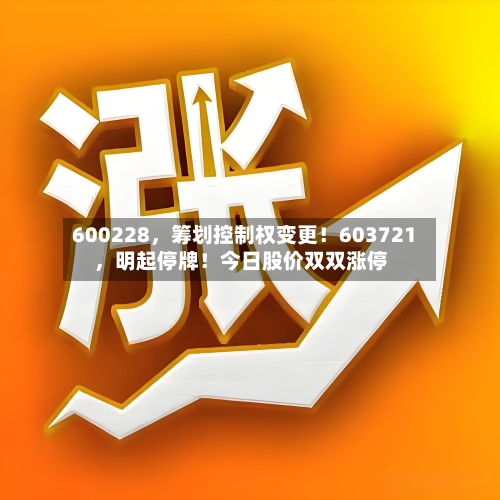 600228，筹划控制权变更！603721，明起停牌！今日股价双双涨停-第2张图片