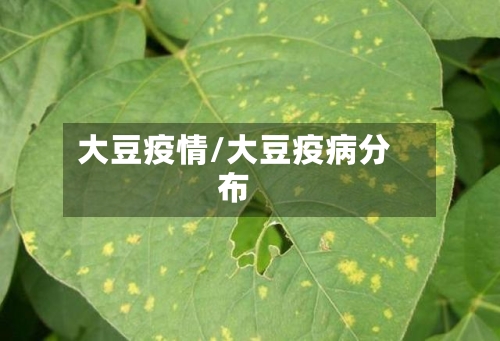 大豆疫情/大豆疫病分布