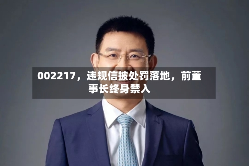 002217	，违规信披处罚落地，前董事长终身禁入-第2张图片