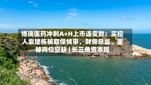 博瑞医药冲刺A+H上市遇变数：实控人袁建栋被取保候审，财务总监、董秘岗位空缺 | 长三角资本局-第3张图片