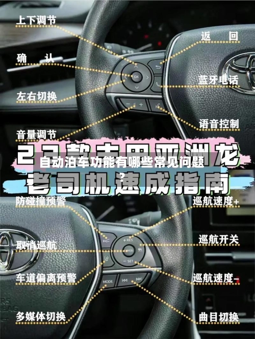 自动泊车功能有哪些常见问题？-第2张图片