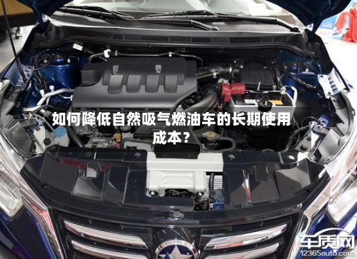 如何降低自然吸气燃油车的长期使用成本？-第3张图片