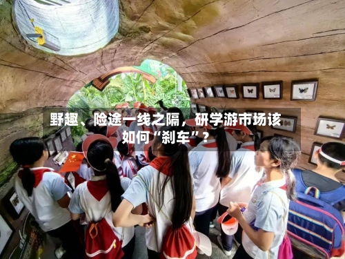 野趣	、险途一线之隔，研学游市场该如何“刹车	”？-第2张图片