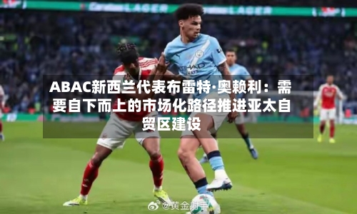 ABAC新西兰代表布雷特·奥赖利：需要自下而上的市场化路径推进亚太自贸区建设-第2张图片