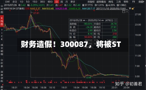 财务造假！300087	，将被ST-第2张图片