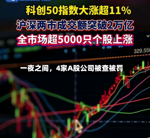 一夜之间，4家A股公司被查被罚-第3张图片