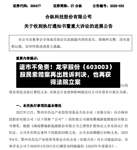 退市不免责！龙宇股份（603003）股民索赔案再出胜诉判决，也再获得法院立案-第3张图片