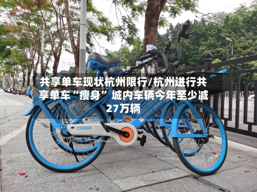共享单车现状杭州限行/杭州进行共享单车“瘦身” 城内车辆今年至少减27万辆-第2张图片