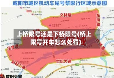 上桥限号还是下桥限号(桥上限号开车怎么处罚)-第2张图片