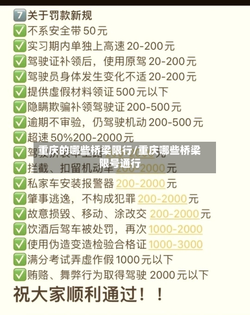 重庆的哪些桥梁限行/重庆哪些桥梁限号通行