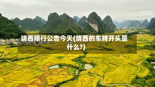靖西限行公告今天(靖西的车牌开头是什么?)-第2张图片