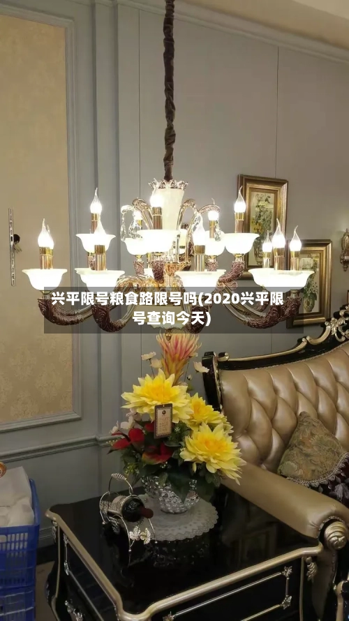 兴平限号粮食路限号吗(2020兴平限号查询今天)-第2张图片