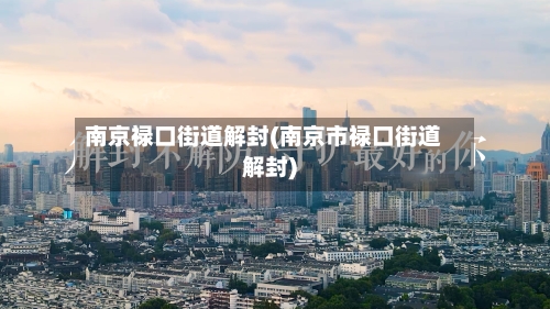 南京禄口街道解封(南京市禄口街道解封)-第2张图片