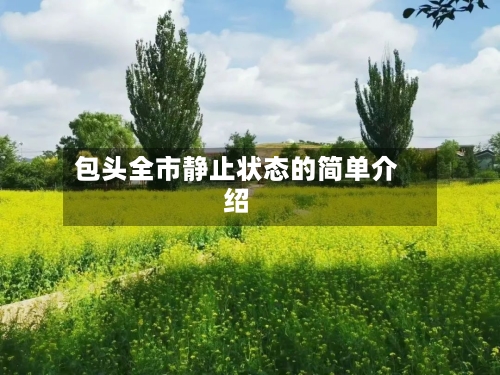 包头全市静止状态的简单介绍-第2张图片