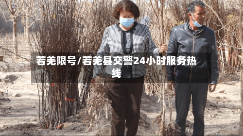 若羌限号/若羌县交警24小时服务热线-第2张图片