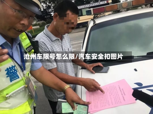 沧州车限号怎么限/汽车安全扣图片-第2张图片