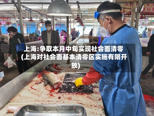 上海:争取本月中旬实现社会面清零(上海对社会面基本清零区实施有限开放)-第3张图片