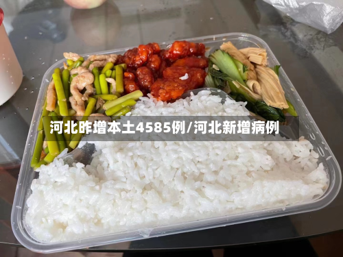 河北昨增本土4585例/河北新增病例-第2张图片