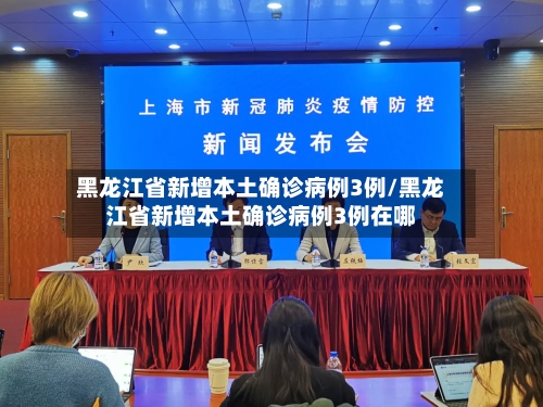 黑龙江省新增本土确诊病例3例/黑龙江省新增本土确诊病例3例在哪-第3张图片