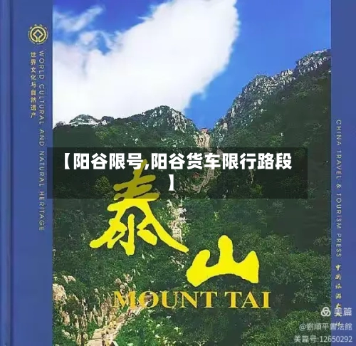 【阳谷限号,阳谷货车限行路段】-第2张图片