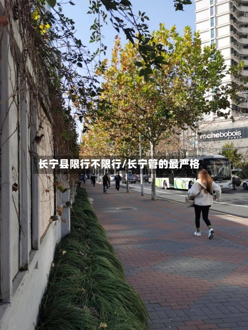 长宁县限行不限行/长宁管的最严格