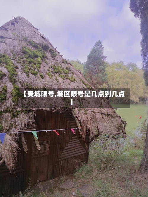 【麦城限号,城区限号是几点到几点】-第3张图片