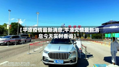 【平凉疫情最新消息,平凉灾情最新消息今天实时查询】-第2张图片