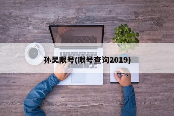 孙吴限号(限号查询2019)