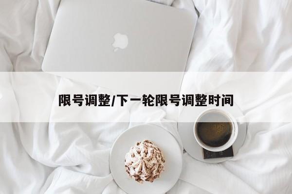 限号调整/下一轮限号调整时间