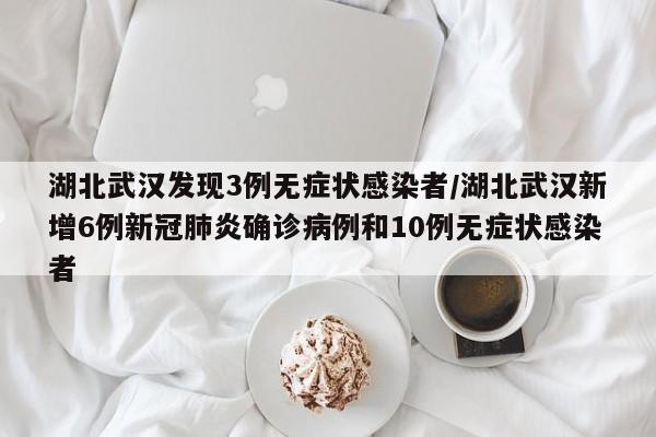 湖北武汉发现3例无症状感染者/湖北武汉新增6例新冠肺炎确诊病例和10例无症状感染者