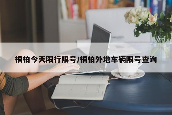 桐柏今天限行限号/桐柏外地车辆限号查询