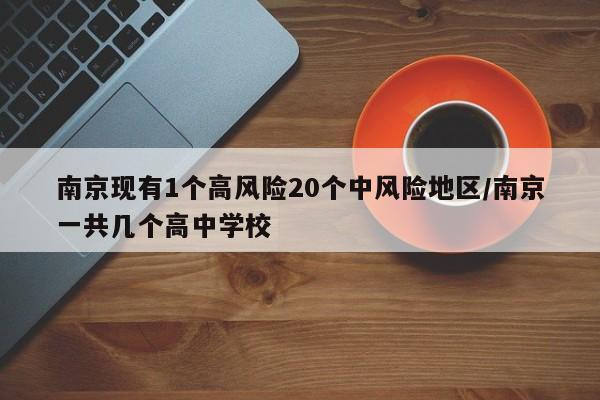南京现有1个高风险20个中风险地区/南京一共几个高中学校